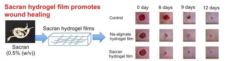 sacran graphical abstrak