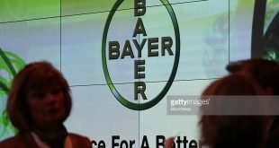 bayer