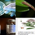 8 Sejarah Asal Usul Obat yang Bisa Membuatmu Tercengang