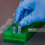 Peneliti Temukan Sel Punca Baru untuk Pengembangan Obat-obatan Regeneratif