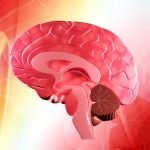 Reseptor Orexin Oral 2-Agonis Potensial Tingkatkan Kesadaran Cataplexy pada Pasien Narkolepsi Tipe 1