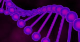 Teknologi gen CRIPSR