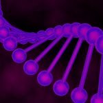 Uji Klinik Obat Kanker Rekayasa Genetik Ini Ditunda Setelah 3 Pasien Meninggal