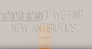 resistensi antibiotik
