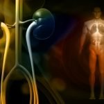 Injeksi Imunoglobulin Tingkatkan Kelangsungan Hidup Pasien Transplantasi Ginjal