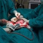 Penggunaan Dini Antibiotik Pada Bayi Lahir Caesar Berisiko Terkena Diabetes Tipe 1