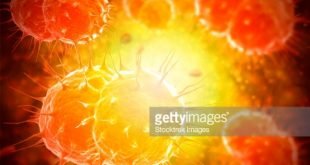 Neisseria gonorrhoeae.