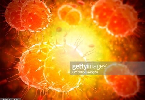 Neisseria gonorrhoeae.