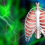 Kanker Paru-Paru : Kanker Paling Mematikan dari Semua Jenis Kanker secara Global