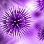 Ayvakit (avapritinib), Terapi Spesifik Untuk Gastrointestinal Stromal Tumor