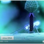 Penemu CRISPR-Cas9 Ungkap Teknologi Edit DNA yang Bisa Mengubah Segalanya