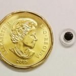 Teknologi Implan Magnet Prospektif Sebagai Sistem Penghantaran Obat Baru