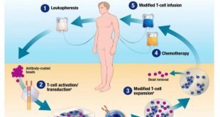 CAR-Tmanufacturing-840x470