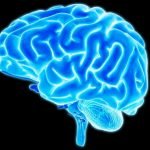 Gelombang yang Ritmis Menjaga Otak Tetap Bekerja Seperti dalam Keadaan Sadar