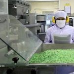 Pemerintah Jokowi Mendukung Penuh Pengembangan Industri Farmasi Indonesia