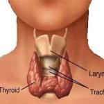 Obat Tiroid Ditarik dari Peredaran Karena Resiko Ketidakmurnian