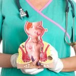 Peran Apoteker dalam Pengobatan Wasir