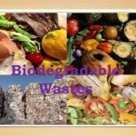 Menuju Industri Makanan Ramah Lingkungan