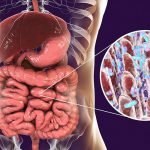 Bakteri Usus Dapat Mengubah Cara Kerja Obat di Dalam Tubuh