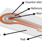 Asam Urat bisa Dideteksi Dengan Biosensor Elektrodeposisi Glassy Carbon