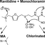 NDMA Muncul Dari Reaksi Degradasi Produk Ranitidin