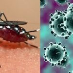 Hati-hati! Bisa Terjadi Kesalahan Tes Diagnosis COVID-19 Menjadi DBD