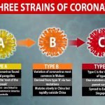Ilmuwan Ungkap Virus COVID-19 Bermutasi Jadi Tiga Jenis Tersebar Ke Seluruh Dunia