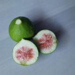 Potensi Si Manis Buah "Surga" Tin Untuk Tingkatkan Imunitas Cegah COVID-19