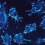 Ilmuwan Temukan Terapi Kanker Tanpa Obat Bisa Hancurkan Sel Kanker Sendiri