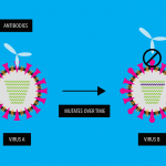 Cara Virus Corona Bermutasi dan Implikasinya Terhadap Vaksin
