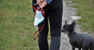 Ilustrasi (foto : Pixabay.com)