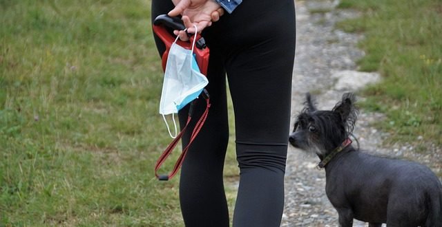 Ilustrasi (foto : Pixabay.com)