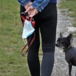 Anjing Terlatih Bisa Deteksi Orang Positif COVID-19 Akurasi Hingga 100%