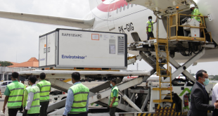 Bulk Vaksin dari Sinovac tiba di Bandara Soekarno Hatta (Foto : Kemenkes)