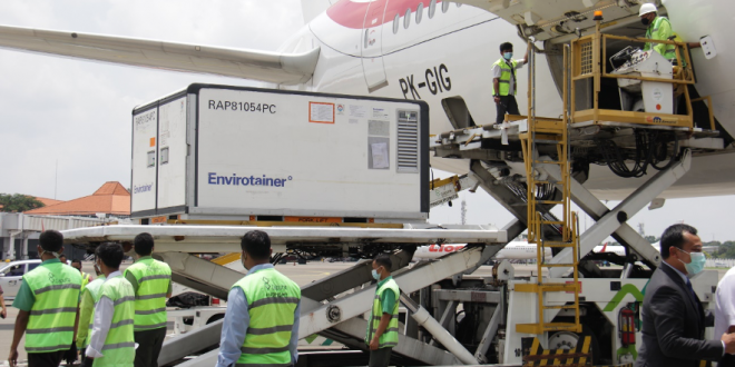 Bulk Vaksin dari Sinovac tiba di Bandara Soekarno Hatta (Foto : Kemenkes)