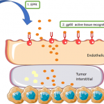 Mengenal Penghantaran Tertarget Paclitaxel dengan Nanopartikel Albumin untuk Kanker Payudara