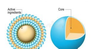 Sumber : www.dreamstime.com