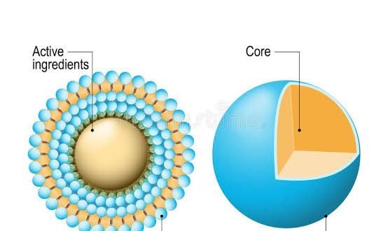 Sumber : www.dreamstime.com