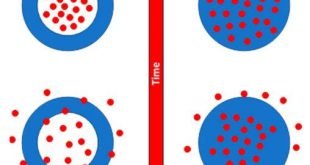 Polymers 2018, 10(12), 1379; https://doi.org/10.3390/polym10121379