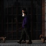 Studi Buktikan Anjing Bisa Deteksi COVID-19 Akurasi 97%, Lebih Baik dari Rapid Tes