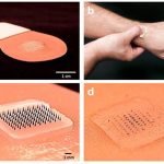 Microneedle Patch : Inovasi Vaksinasi Tanpa Jarum Suntik