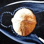 Magnesium sebagai Primadona Sistem Kekebalan Tubuh untuk Melawan Kanker dan Infeksi