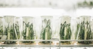 Sumber : Pharmafile.com