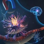 Sel Otak Sensitif Dikendalikan oleh Mikromagnet