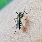 Efikasi Tinggi, Vaksin Malaria Baru Potensial Hentikan Penyakit Malaria