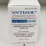 Fomepizole Efektif Bantu Antibiotik Lawan Streptococcus pneumoniae yang Resisten