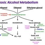 Fomepizole yang Mahal Bisa Diganti Etanol, Senyawa Alkohol di Miras