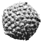 Hasil Studi Soroti Pentingnya Vaksinasi Herpes Zoster untuk Dewasa