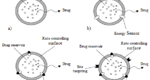 Teknologi Penghantaran Obat Terkontrol, Solusi Jitu Atasi Permasalahan Penghantaran Obat Per Oral