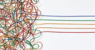 Ilustrasi oleh David Malan (strategy-business.com)